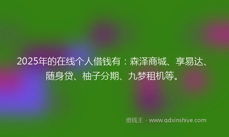 2025年的在线个人借钱有：森泽商城、享易达、随身贷、柚子分期、九梦租机等。