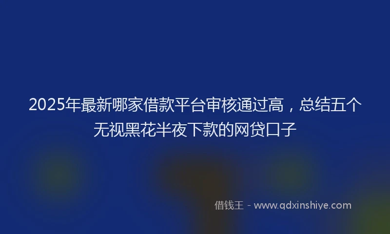 2025年最新哪家借款平台审核通过高，总结五个无视黑花半夜下款的网贷口子