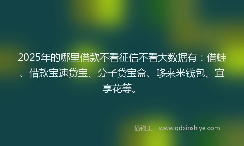 2025年的哪里借款不看征信不看大数据有：借蛙、借款宝速贷宝、分子贷宝盒、哆来米钱包、宜享花等。