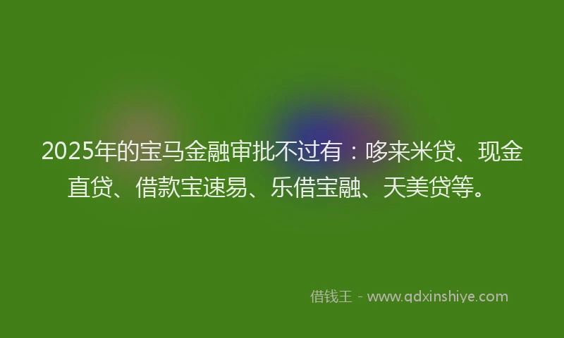 2025年的宝马金融审批不过有：哆来米贷、现金直贷、借款宝速易、乐借宝融、天美贷等。