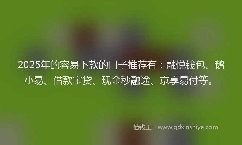 2025年的容易下款的口子推荐有：融悦钱包、鹅小易、借款宝贷、现金秒融途、京享易付等。