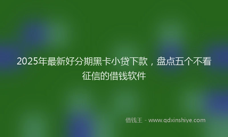 2025年最新好分期黑卡小贷下款，盘点五个不看征信的借钱软件