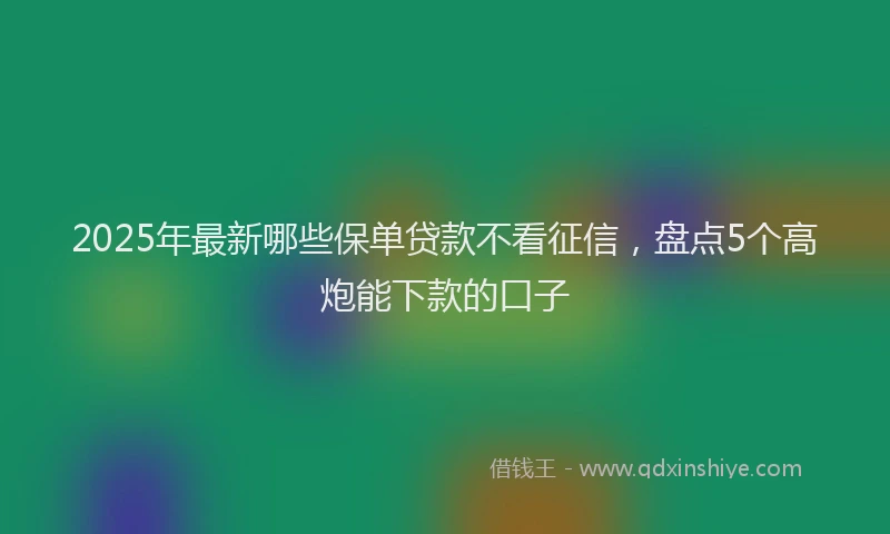 2025年最新哪些保单贷款不看征信，盘点5个高炮能下款的口子