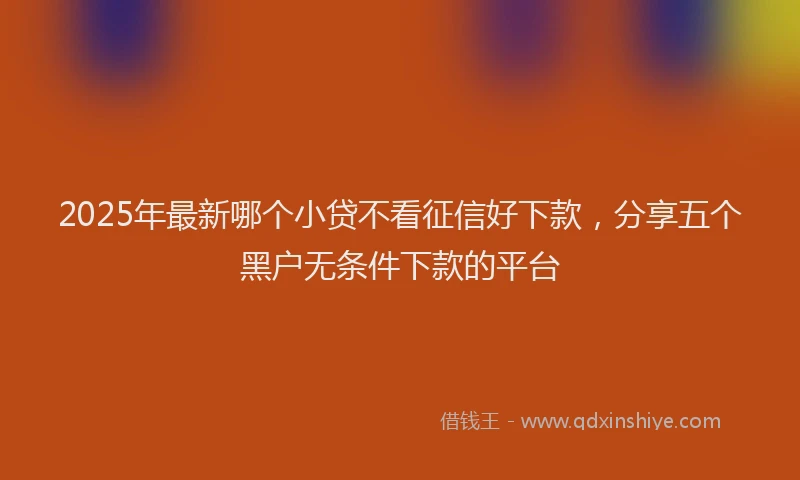 2025年最新哪个小贷不看征信好下款，分享五个黑户无条件下款的平台