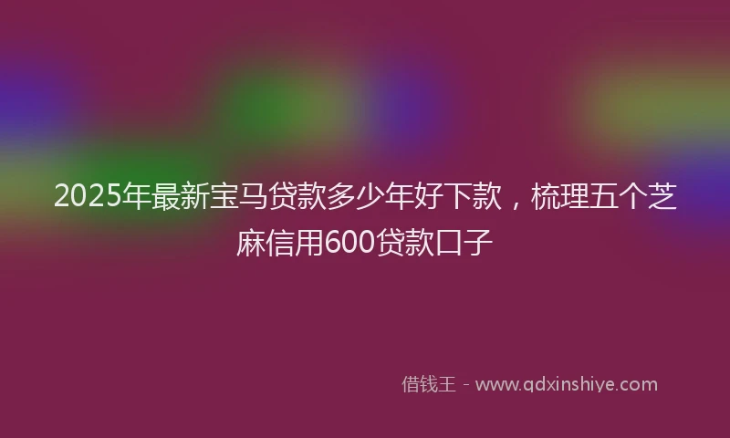 2025年最新宝马贷款多少年好下款，梳理五个芝麻信用600贷款口子