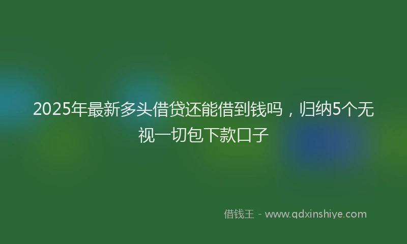 2025年最新多头借贷还能借到钱吗，归纳5个无视一切包下款口子