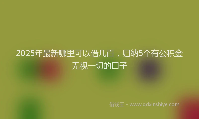 2025年最新哪里可以借几百，归纳5个有公积金无视一切的口子