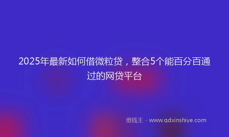 2025年最新如何借微粒贷，整合5个能百分百通过的网贷平台