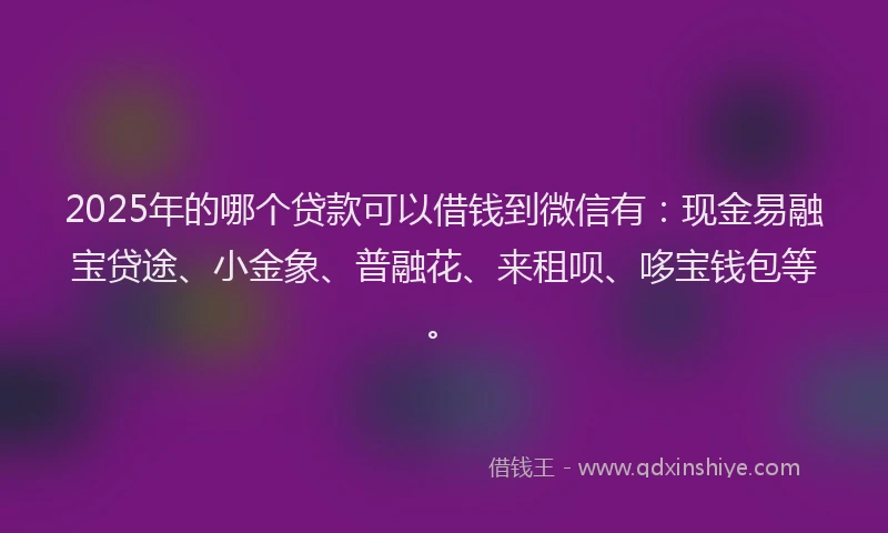 2025年的哪个贷款可以借钱到微信有：现金易融宝贷途、小金象、普融花、来租呗、哆宝钱包等。
