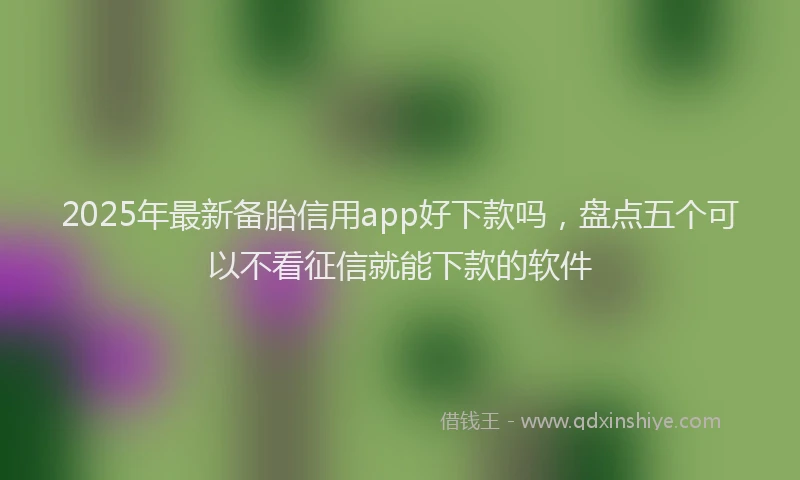 2025年最新备胎信用app好下款吗，盘点五个可以不看征信就能下款的软件