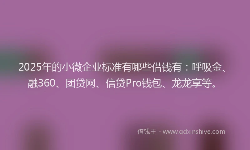 2025年的小微企业标准有哪些借钱有：呼吸金、融360、团贷网、信贷Pro钱包、龙龙享等。