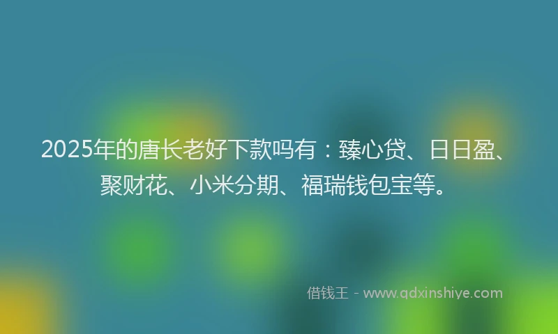 2025年的唐长老好下款吗有：臻心贷、日日盈、聚财花、小米分期、福瑞钱包宝等。