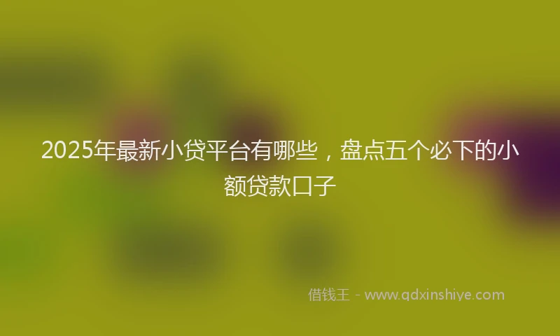2025年最新小贷平台有哪些，盘点五个必下的小额贷款口子