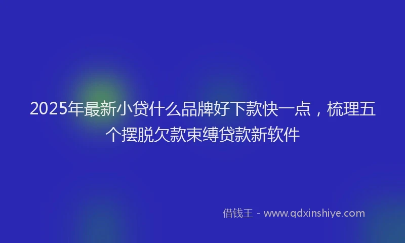 2025年最新小贷什么品牌好下款快一点，梳理五个摆脱欠款束缚贷款新软件