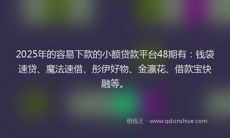 2025年的容易下款的小额贷款平台48期有：钱袋速贷、魔法速借、彤伊好物、金瀛花、借款宝快融等。