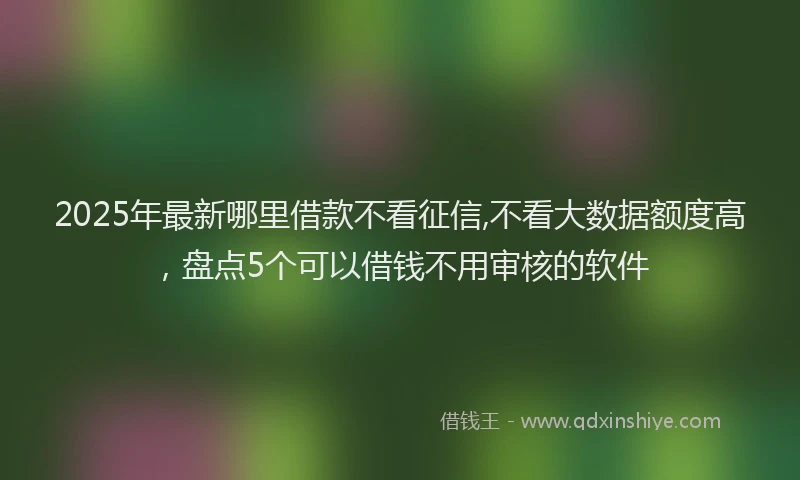 2025年最新哪里借款不看征信,不看大数据额度高，盘点5个可以借钱不用审核的软件