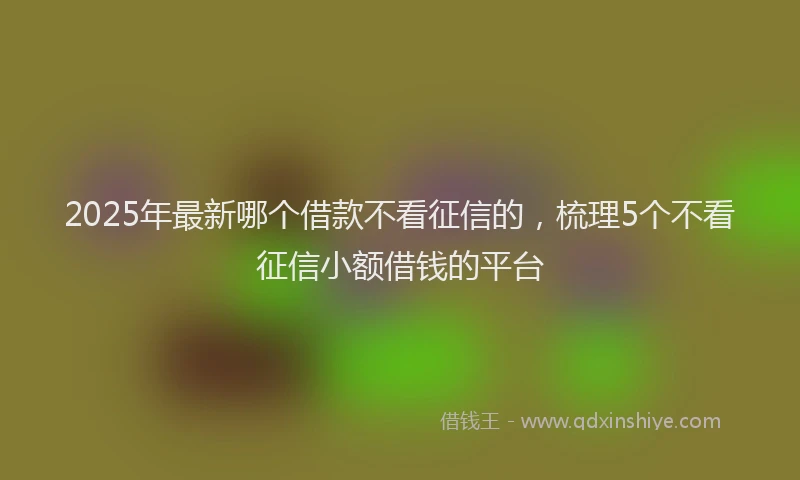 2025年最新哪个借款不看征信的，梳理5个不看征信小额借钱的平台