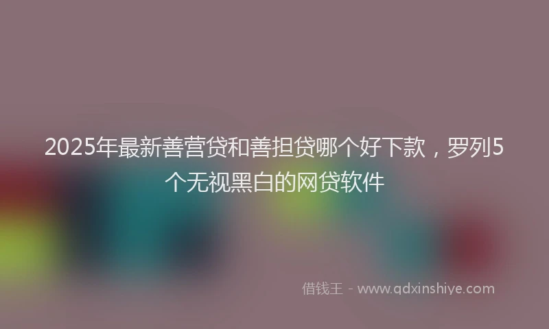 2025年最新善营贷和善担贷哪个好下款，罗列5个无视黑白的网贷软件