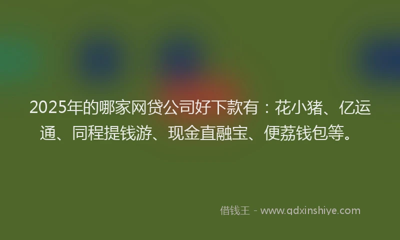 2025年的哪家网贷公司好下款有：花小猪、亿运通、同程提钱游、现金直融宝、便荔钱包等。