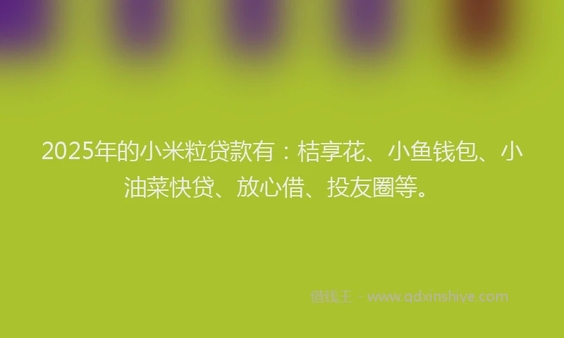 2025年的小米粒贷款有：桔享花、小鱼钱包、小油菜快贷、放心借、投友圈等。