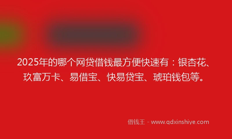 2025年的哪个网贷借钱最方便快速有：银杏花、玖富万卡、易借宝、快易贷宝、琥珀钱包等。
