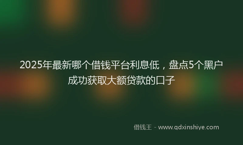 2025年最新哪个借钱平台利息低，盘点5个黑户成功获取大额贷款的口子