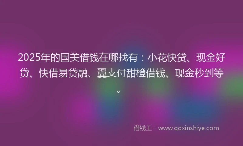 2025年的国美借钱在哪找有：小花快贷、现金好贷、快借易贷融、翼支付甜橙借钱、现金秒到等。