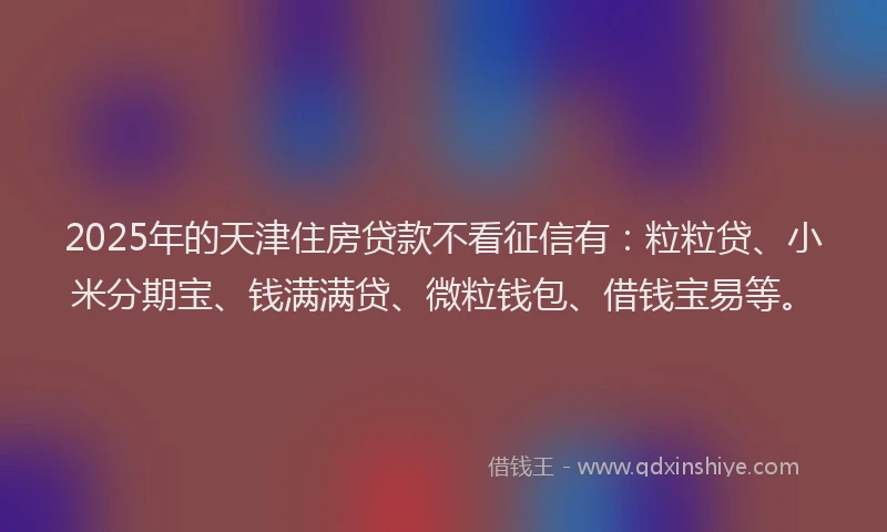 2025年的天津住房贷款不看征信有：粒粒贷、小米分期宝、钱满满贷、微粒钱包、借钱宝易等。