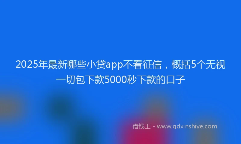 2025年最新哪些小贷app不看征信，概括5个无视一切包下款5000秒下款的口子