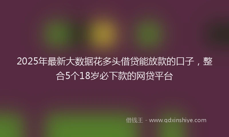 2025年最新大数据花多头借贷能放款的口子，整合5个18岁必下款的网贷平台