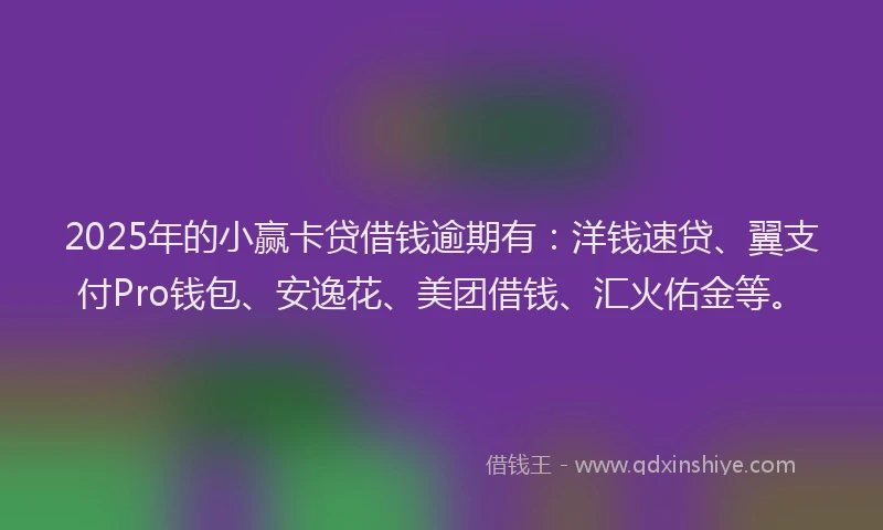 2025年的小赢卡贷借钱逾期有：洋钱速贷、翼支付Pro钱包、安逸花、美团借钱、汇火佑金等。