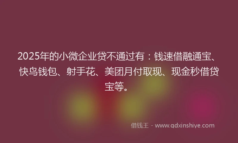 2025年的小微企业贷不通过有：钱速借融通宝、快鸟钱包、射手花、美团月付取现、现金秒借贷宝等。