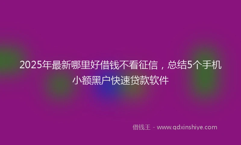 2025年最新哪里好借钱不看征信，总结5个手机小额黑户快速贷款软件