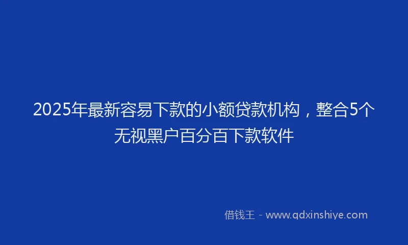 2025年最新容易下款的小额贷款机构，整合5个无视黑户百分百下款软件