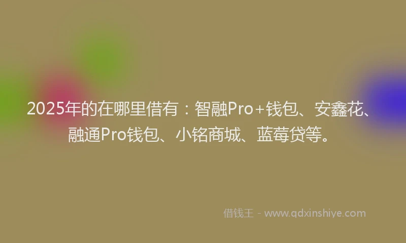 2025年的在哪里借有：智融Pro+钱包、安鑫花、融通Pro钱包、小铭商城、蓝莓贷等。