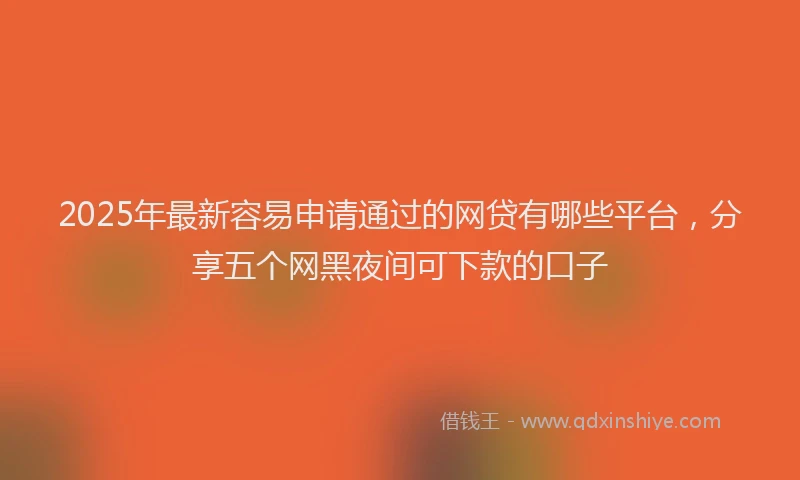 2025年最新容易申请通过的网贷有哪些平台，分享五个网黑夜间可下款的口子