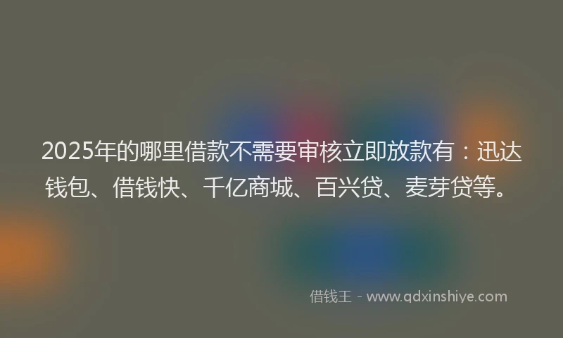 2025年的哪里借款不需要审核立即放款有：迅达钱包、借钱快、千亿商城、百兴贷、麦芽贷等。