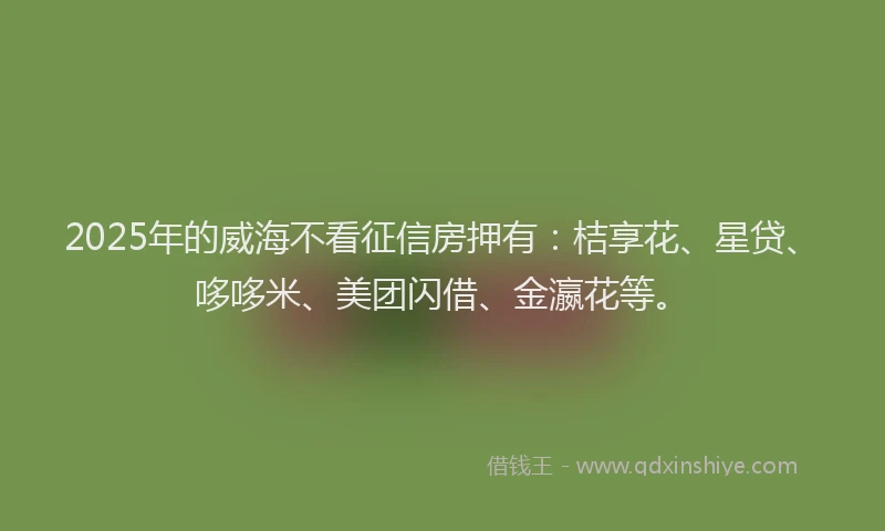 2025年的威海不看征信房押有：桔享花、星贷、哆哆米、美团闪借、金瀛花等。