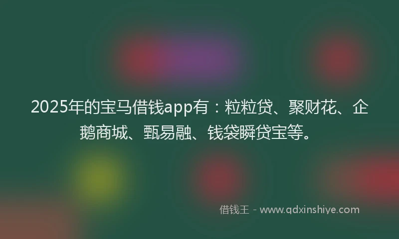 2025年的宝马借钱app有：粒粒贷、聚财花、企鹅商城、甄易融、钱袋瞬贷宝等。