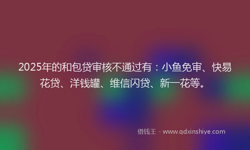 2025年的和包贷审核不通过有：小鱼免审、快易花贷、洋钱罐、维信闪贷、新一花等。