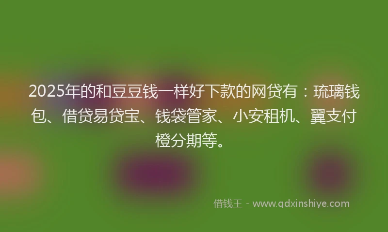 2025年的和豆豆钱一样好下款的网贷有：琉璃钱包、借贷易贷宝、钱袋管家、小安租机、翼支付橙分期等。