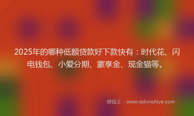 2025年的哪种低额贷款好下款快有：时代花、闪电钱包、小爱分期、蒙享金、现金猫等。