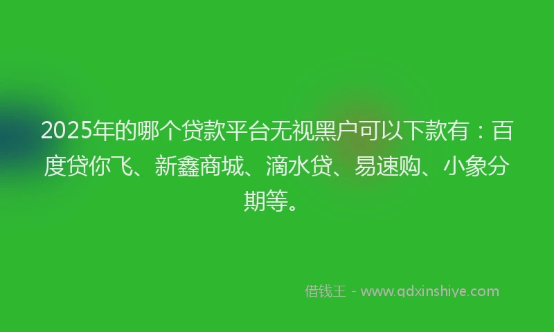 2025年的哪个贷款平台无视黑户可以下款有：百度贷你飞、新鑫商城、滴水贷、易速购、小象分期等。