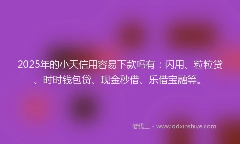 2025年的小天信用容易下款吗有：闪用、粒粒贷、时时钱包贷、现金秒借、乐借宝融等。