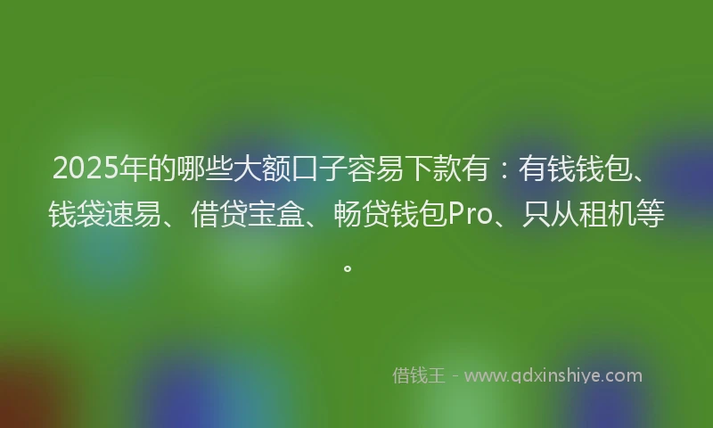 2025年的哪些大额口子容易下款有：有钱钱包、钱袋速易、借贷宝盒、畅贷钱包Pro、只从租机等。