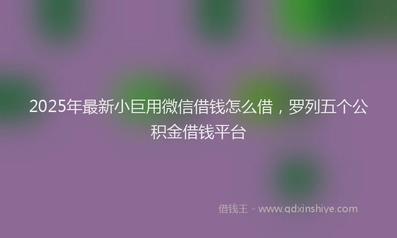 2025年最新小巨用微信借钱怎么借，罗列五个公积金借钱平台