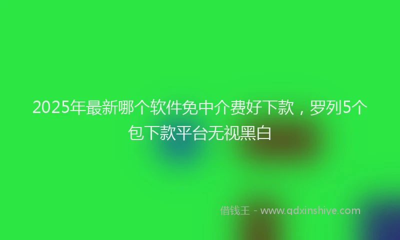 2025年最新哪个软件免中介费好下款，罗列5个包下款平台无视黑白