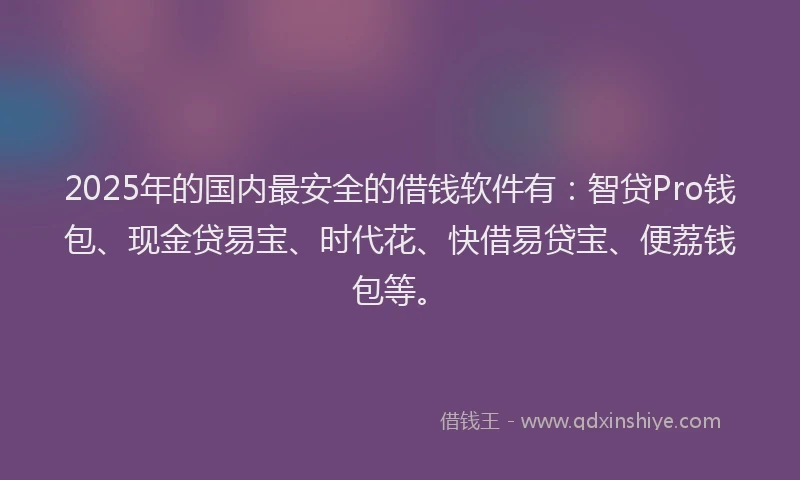 2025年的国内最安全的借钱软件有：智贷Pro钱包、现金贷易宝、时代花、快借易贷宝、便荔钱包等。