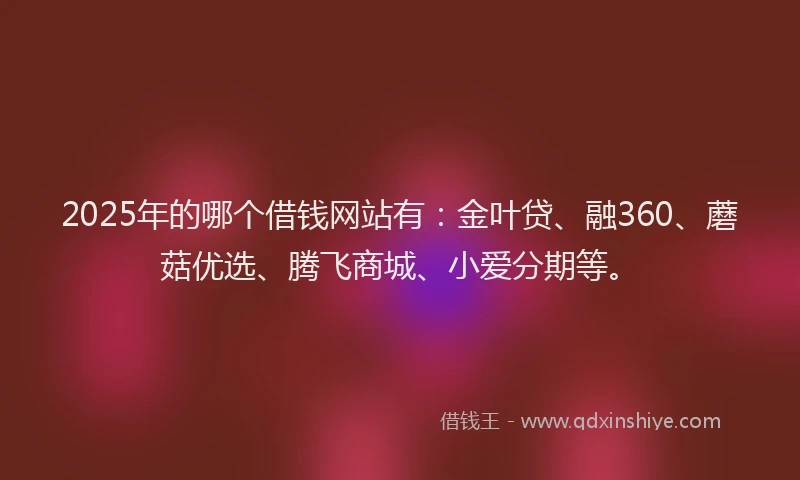 2025年的哪个借钱网站有：金叶贷、融360、蘑菇优选、腾飞商城、小爱分期等。