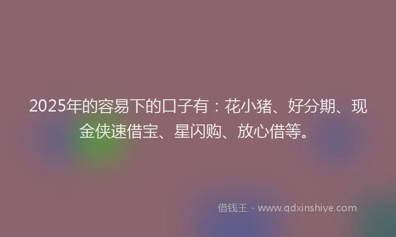 2025年的容易下的口子有：花小猪、好分期、现金侠速借宝、星闪购、放心借等。